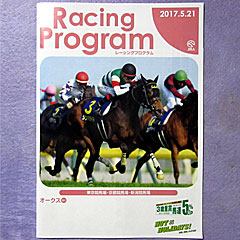 レーシングプログラム