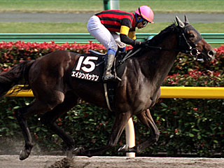 エイシンバッケン(欅ステークス)