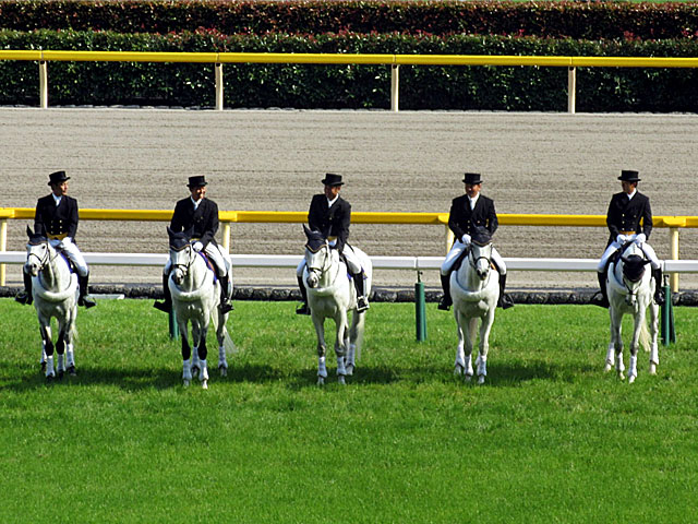 大人気の 17年日本ダービー限定カード Www Hallo Tv 大人気の 17年日本ダービー限定カード Www Hallo Tv