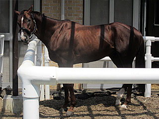 クリプトグラム@乗馬の展示コーナー