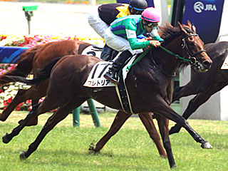 プレトリア(2歳新馬)