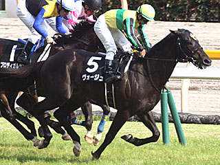 ヴォージュ(ジューンステークス)
