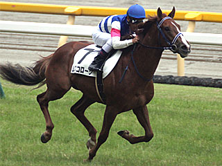 ムスコローソ(2歳新馬)