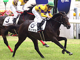 テンクウ(2歳新馬)