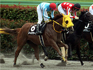 ルールソヴァール(夏至ステークス)