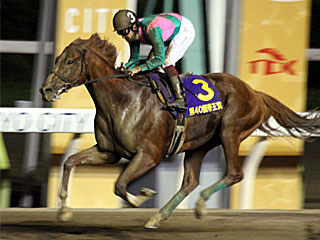 ケイティブレイブ(帝王賞)