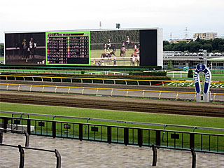 東京競馬場