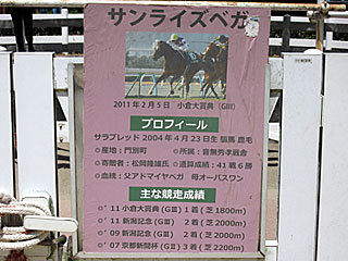 サンライズベガ