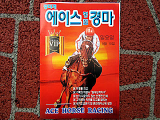 ACE | 韓国競馬新聞