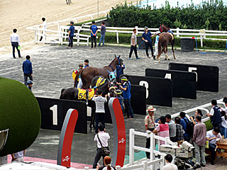 ソウル競馬場