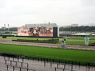 東京競馬場