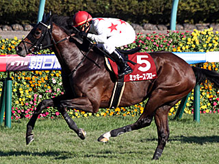 ミッキースワロー(セントライト記念)