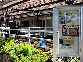 乗馬の展示コーナー