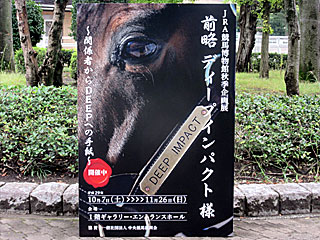競馬博物館 | 前略ディープインパクト様関係者からDEEPへの手紙
