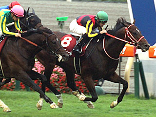 リアルスティール(毎日王冠)