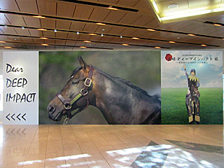 競馬博物館 | 前略ディープインパクト様関係者からDEEPへの手紙