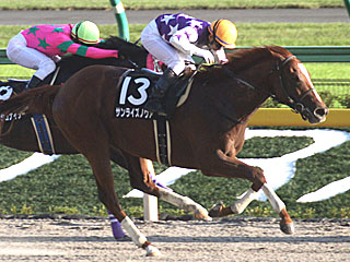 サンライズノヴァ(グリーンチャンネルカップ)