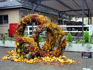 Autumn 8 Colors Fest produced by Nicolai Bergmann Flowers＆Design