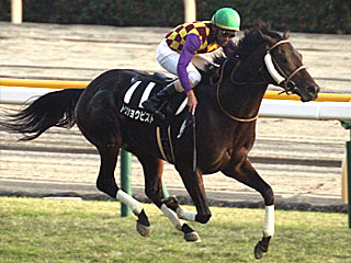 トウショウピスト(オーロカップ)