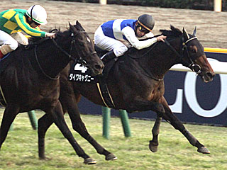 ダイワキャグニー(キャピタルステークス)