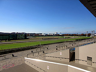 東京競馬場