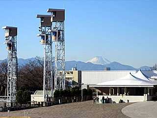 東京競馬場