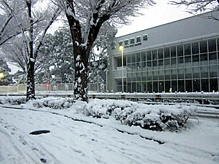 東京競馬場大雪