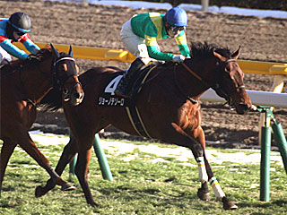リョーノテソーロ(クロッカスステークス)
