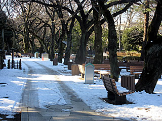 東京競馬場大雪