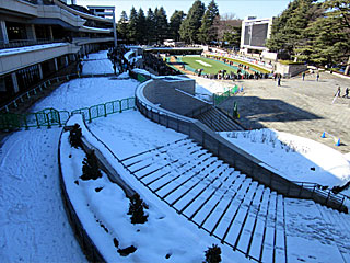 東京競馬場大雪