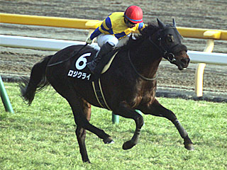 ロジクライ(節分ステークス)