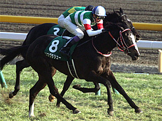 リスグラシュー(東京新聞杯)