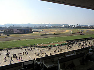 フジビュースタンド5F来賓席