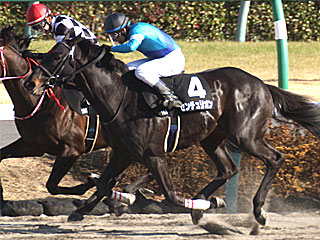 センチュリオン(総武ステークス)