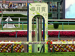 中山競馬場（2018年皐月賞）