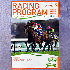 レーシングプログラム