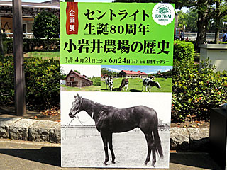 JRA競馬博物館 | セントライト生誕80周年小岩井農場の歴史