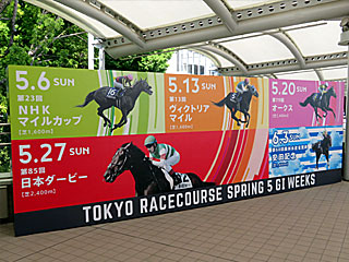 東京競馬場