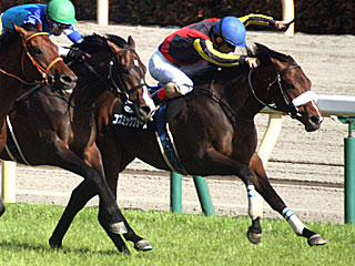 コズミックフォース(プリンシパルステークス)