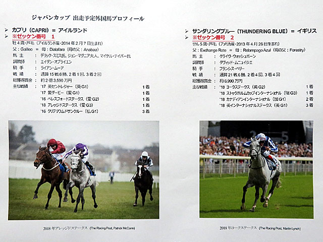 ジャパンカップ公開調教 18年11月22日の競馬日記 東京競馬場どっとこむ ジャパンカップ公開調教 18年11月22日の競馬日記 東京競馬場どっとこむ