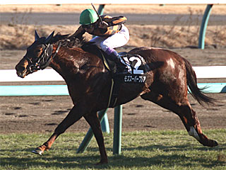 モズスーパーフレア(カーバンクルステークス)