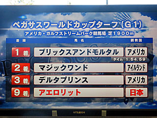 ペガサスワールドカップターフ(結果)