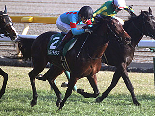 インディチャンプ(東京新聞杯)