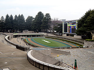 東京競馬場