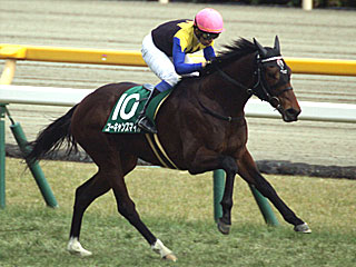 ユーキャンスマイル(ダイヤモンドステークス)