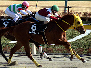 オーヴァルエース(ヒヤシンスステークス)
