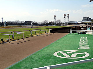 東京競馬場