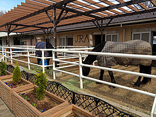 乗馬の展示コーナー