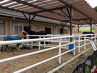 乗馬の展示コーナー