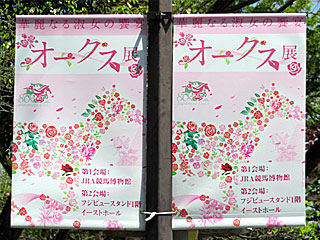 華麗なる淑女の饗宴オークス展